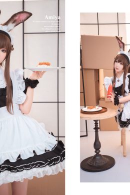 麵餅仙兒阿米驢女僕(明日方舟)