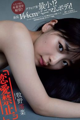 Reina Makino 牧野澪菜, Weekly Playboy 2019 No.30 (週刊プレイボーイ 2019年30号)(6P)