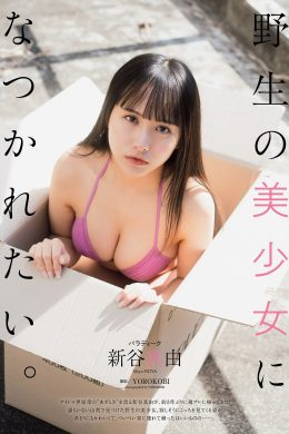Mayu Niiya 新谷真由, Weekly Playboy 2022 No.15 (週刊プレイボーイ 2022年15号)(8P)